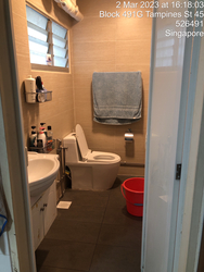 Blk 491G Tampines Street 45 (Tampines), HDB 5 Rooms #396339891
